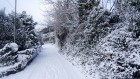 Back Lane in the snow..   #snowday